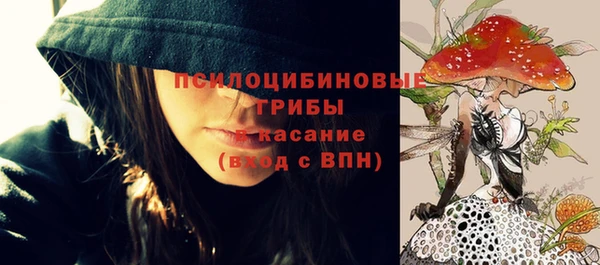 спиды Алексеевка