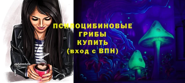 винт Аркадак
